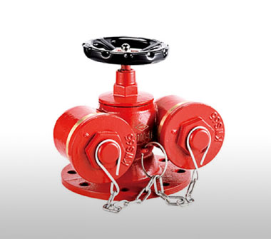 SQD100-1.6多用式消防水泵接合器